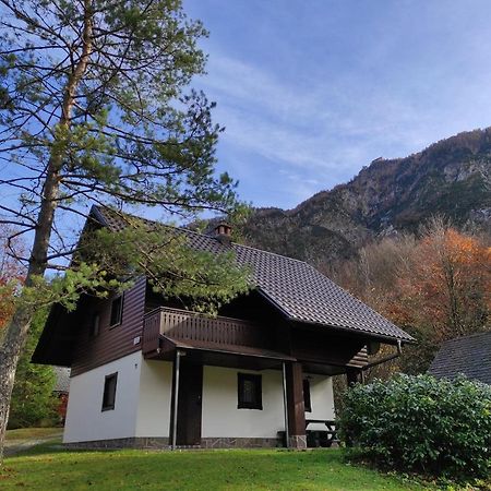 Apartmaji Zupancic Bohinj Εξωτερικό φωτογραφία