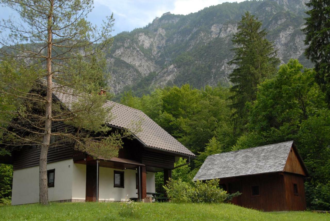 Apartmaji Zupancic Bohinj Εξωτερικό φωτογραφία