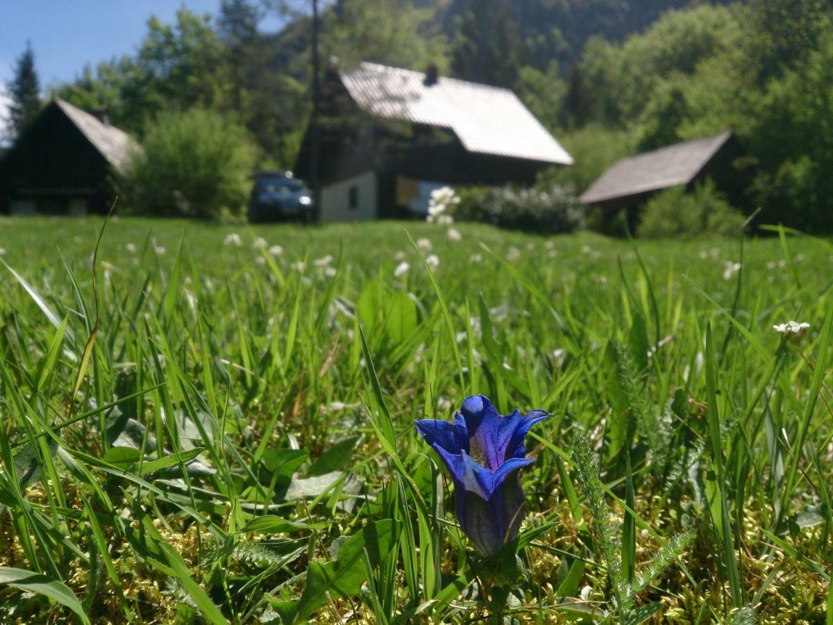 Apartmaji Zupancic Bohinj Εξωτερικό φωτογραφία