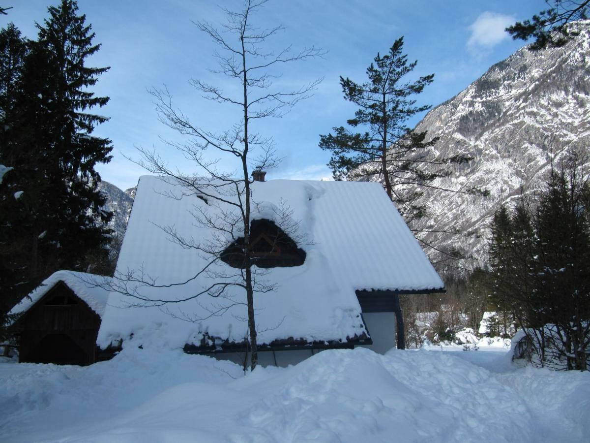 Apartmaji Zupancic Bohinj Εξωτερικό φωτογραφία